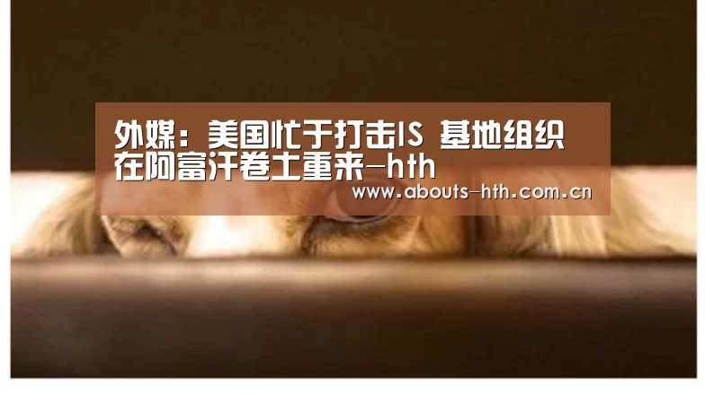 外媒:美国忙于打击IS 基地组织在阿富汗卷土重来-hth(图2) hth手机版登录