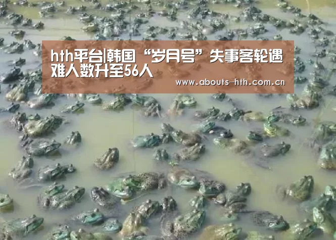 hth平台|韩国“岁月号”失事客轮遇难人数升至56人(图1) hth官方网站