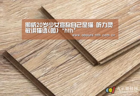 hth网页版